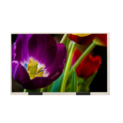 หน้าจอแสดงผล LCD EE101IA-01D ขนาด 10.1 นิ้ว 1280X800 HD Desktop Monitor