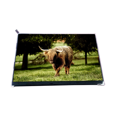 VVX10F002A90 10.1 นิ้ว 1000: 1 แผ่นจอ LCD
