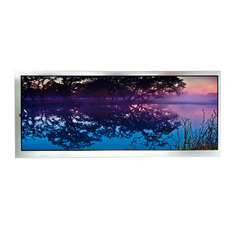 AV123Z7M-N11 12.3 นิ้ว LCD Screen Display LCD MODULE สําหรับรถ