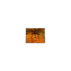 HSD070BPW1-A00 280*1424 จอ LCD ขนาด 6.9 นิ้ว สําหรับเครื่องใช้ในบ้าน