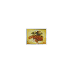 ET057007DMU 640*480 5.7 นิ้ว 450 cd/m2 หน้าจอ LCD
