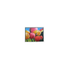ขนาดเล็ก 4.7 นิ้ว EW32F50GLY 320*240 LCD Panel อุตสาหกรรม