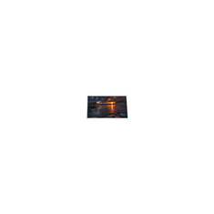 อะไหล่จอ LCD ขนาดเล็ก 4.1 นิ้ว COM41T4N05GLC 320 * 240