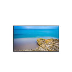 B121EW10 V1 ผู้ผลิตจอ LCD 12.1 นิ้ว