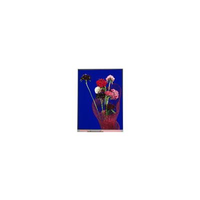 5.4 นิ้ว C054SWR6-0 540*1132 LCD SCREEN สําหรับโทรศัพท์
