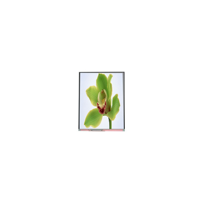 5หน้าจอ LCD TFT ขนาด 0.0 นิ้ว 480*854 C050SWYG-3