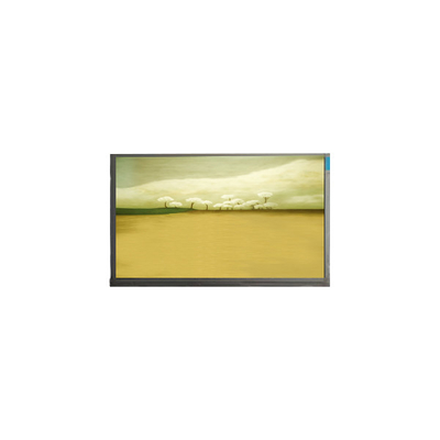21.5 นิ้ว M215HJK-L3B แผ่นจอ LCD 1920*1080 จอ LCD