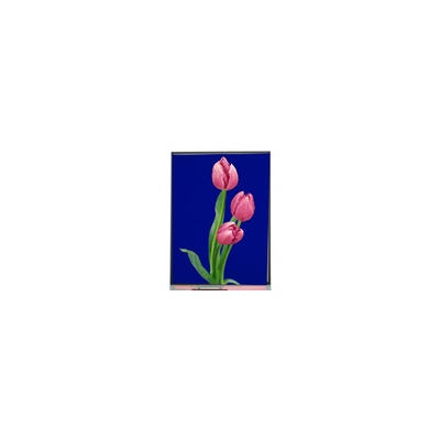 C055SWF4 R0 โมดูล LCD 5.5 นิ้ว TFT LCD