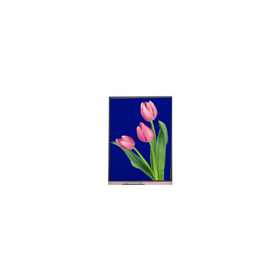 หน้าจอ LCD 5.4 นิ้วใหม่ C054SWZ4-1 540*960