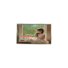 23.0 นิ้ว LTM230HT05-V 30 ปิน 1920 * 1080 แผ่นจอ LCD