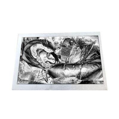 ราคาดี อุตสาหกรรม TX13D06VM2BAA 5.0 นิ้ว 188PPI จอ LCD ออนไลน์