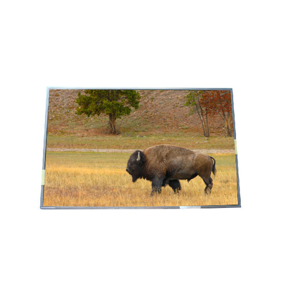 ราคาดี จําหน่าย 17.0 นิ้ว B170PW03 V5 99PPI TFT แผ่น LCD ออนไลน์