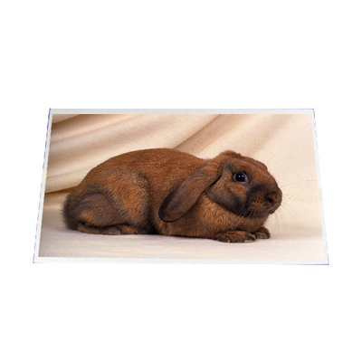 ราคาดี B140RW03 V1 14.0 นิ้ว 1600*900 LCD SCREEN PANEL ออนไลน์