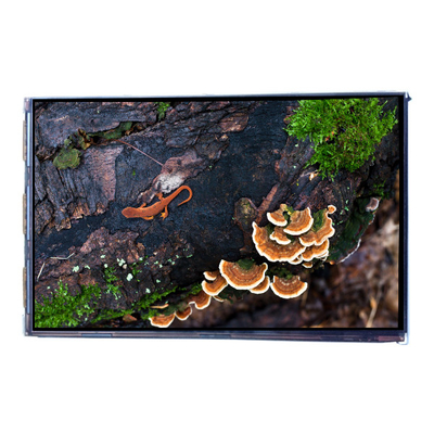 ราคาดี VVX07H005A00 7.0 นิ้ว 450 cd/m2 แผ่นจอ LCD ออนไลน์