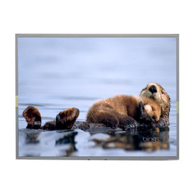 ราคาดี LM2013-TLWEJ1 20.1 นิ้ว 1680*1050 TFT แผ่นจอ LCD ออนไลน์