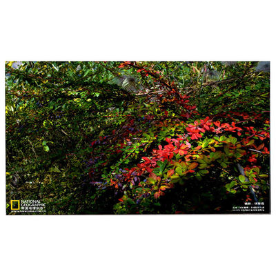 ราคาดี LM238WF5-SSE5 หน้าจอ LCD ใหม่สําหรับ HP Pavilion 24-Df0014 ออนไลน์