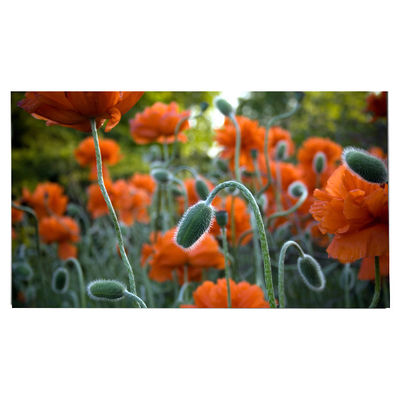 ราคาดี LM270WR8-SSC1 แผ่น LCD ขนาด 27.0 นิ้ว 3840*2160 จอ LCD ออนไลน์