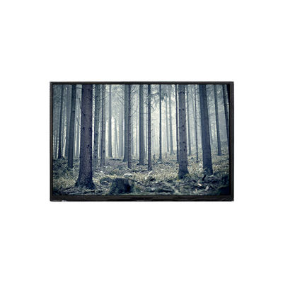 ราคาดี BP101WX2-100-3QP0 10.1 นิ้วจอ LCD จอ LCD ออนไลน์