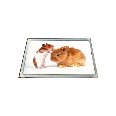 ราคาดี LM170E03-TLG6 17.0 นิ้ว 16.7M โมดูลแผ่นจอ LCD ออนไลน์