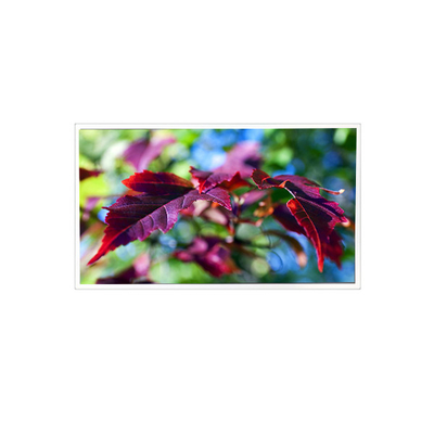 ราคาดี TV116FHM-N00 1920*1080 11.6 นิ้ว 60Hz 40 pin LCD Panel Screen มอนิเตอร์ ออนไลน์