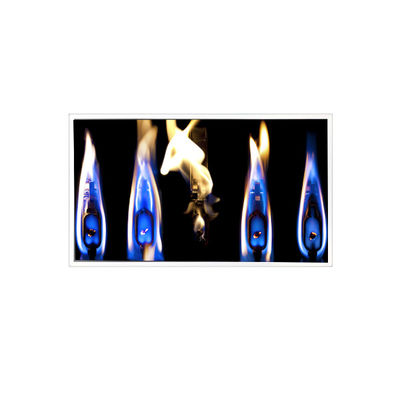 ราคาดี TDA190-001V02 1280*1024 19.0 นิ้ว 800 cd/m2 LCD สําหรับความสว่างสูงภายนอก ออนไลน์