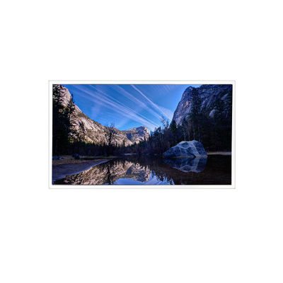 ราคาดี 10.1 นิ้ว 1920*1200 EV101WUM-N81 1000:1 LVDS LCD Panel สําหรับอุตสาหกรรม ออนไลน์