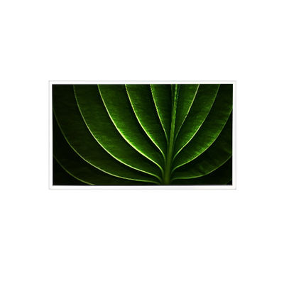 ราคาดี TAD201-001 20.1 นิ้ว 1600*1200 450 cd/m2 จอ LCD 60Hz สําหรับอุตสาหกรรม ออนไลน์