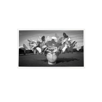 ราคาดี 1280*1024 3.8 นิ้ว TPA038-001 800:1 จอจอ LCD ออนไลน์