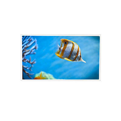 ราคาดี 7.1 นิ้ว RV071Y4G-N00 768*768 จอจอ LCD สําหรับอุตสาหกรรม ออนไลน์