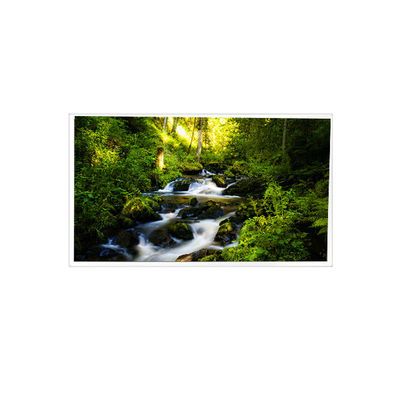 ราคาดี RV042Z6G-N00 4.2 นิ้ว 480*480 จอจอ LCD สําหรับ PDA มือถือ ออนไลน์