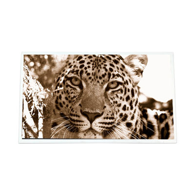 ราคาดี 7.0 นิ้ว GT070WVM-N12 800*480 WLED 600:1 โมดูลจอแอลซีดี ออนไลน์