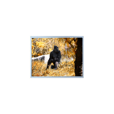 ราคาดี แผ่นจอ LCD แท้ขนาด 7.0 นิ้ว 800*480 PW070WX2 ออนไลน์