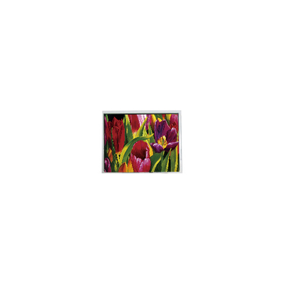ราคาดี AM-800480LATMQW-TN0H-L 800*480 5.0 นิ้ว 3S6P WLED แผ่นจอ LCD ออนไลน์