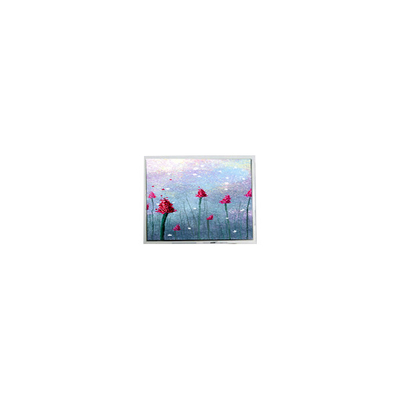 ราคาดี AM-800480LTMQW-TW1H 5.0 นิ้ว 800*480 หน้าจอจอจอ LCD ออนไลน์