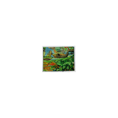 ราคาดี ตัวเดิม 800*480 5.0 นิ้ว AM-800480NGTZQW-01H 45 ปิน WLED LCD Screen Panel ออนไลน์