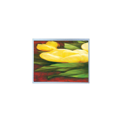 ราคาดี ขายร้อน 12.1 นิ้ว AM-1024768R2TNQW-T00H 1024*768 TFT LCD Screen ออนไลน์