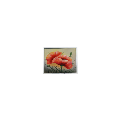 ราคาดี DMF5010NF-FW 240*64 5.2 นิ้ว LCD Panel อุตสาหกรรมจอ ออนไลน์