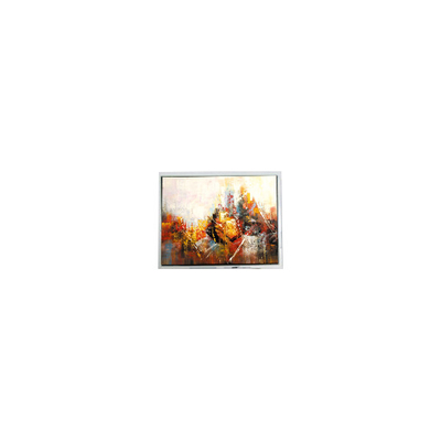 ราคาดี ขนาดเล็ก 640*480 COM57H5M86KLC 5.7 นิ้ว 45 ปิน 60Hz แพนลิสต์ LCD ออนไลน์