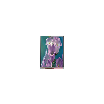 ราคาดี 7.0 นิ้ว C070AWPE-0 800*480 TFT LCD Screen แผ่น LCD อุตสาหกรรม ออนไลน์