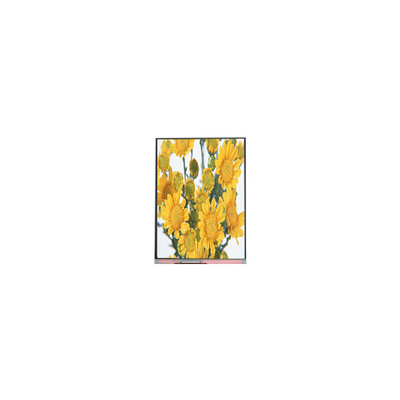ราคาดี C070SWP1 7.0 นิ้ว TFT LCD Screen Panel สําหรับกรอบภาพดิจิตอล ออนไลน์