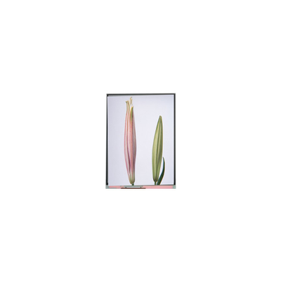 ราคาดี C080SWW3-0 8.0 นิ้ว TFT LCD Screen Display สําหรับแท็บเล็ต ออนไลน์