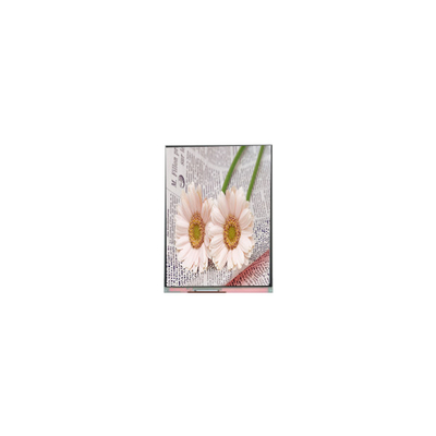 ราคาดี C084GNS1-1 800*600 8.4 นิ้ว TFT LCD Display สําหรับอุตสาหกรรม ออนไลน์