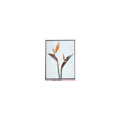 ราคาดี 9.0 นิ้ว C090NWP1 R0 800*480 TFT LCD Display Panel ออนไลน์