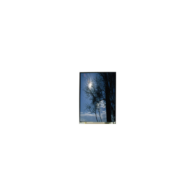 ราคาดี LS055T1SX09 5.5 นิ้ว 1080*1920 TFT-LCD LCD Screen ออนไลน์