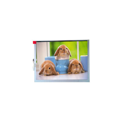 ราคาดี แผงหน้าจอ TFT-LCD ขนาด 7.0 นิ้ว TM070SDH03 ใหม่ 800*600 ออนไลน์