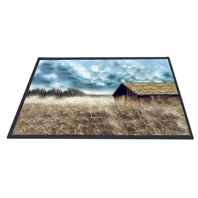 ราคาดี AUO 10.1 นิ้ว B101XAN01.2 1366x768 TFT LCD แผงหน้าจอ ออนไลน์