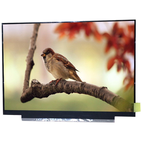 ต้นฉบับเกรด A 11.6 นิ้ว G116HAN01.0 FHD 1920 (RGB) × 1080 IPS tft lcd แผงหน้าจอ