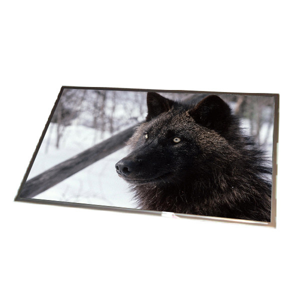 B121EW01 V2 12.1 นิ้ว 1280*800 LVDS TFT-lcd screen สําหรับคอมพิวเตอร์