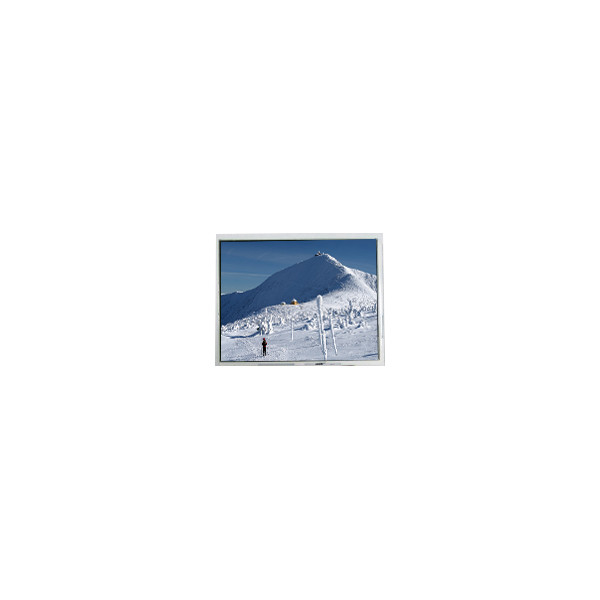 หน้าจอ LCD ตัวเดิม 5.7 นิ้ว AM-320240N1TMQW-00H-F(R) 320*240