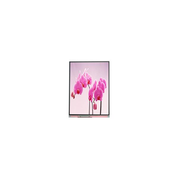 C060SWR5-1 6.0 นิ้ว 720*1440 LCD Screen Display Panel สําหรับโทรศัพท์มือถือ